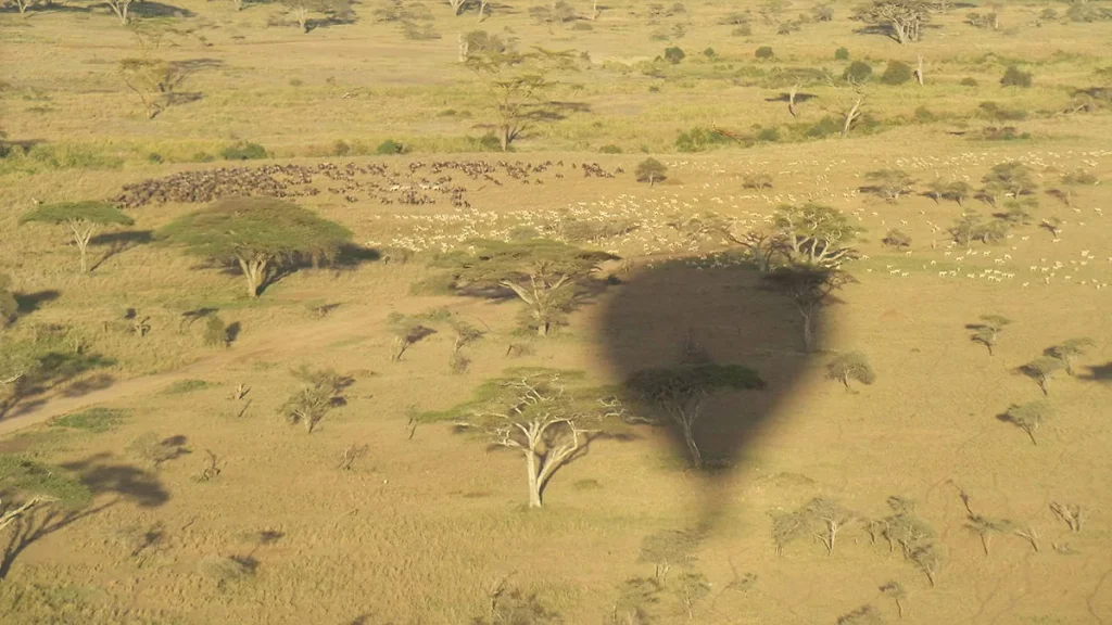 The Best 7-Day Serengeti Balloon Safari in Tanzania – Ultimate Wildlife Adventure 2027/2028/2029