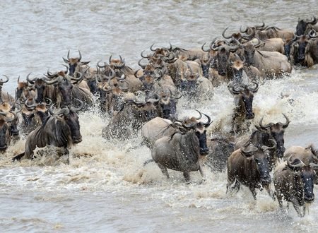 6 Unique Things to Do on Safari in Tanzania Beyond the Usual Game Drive