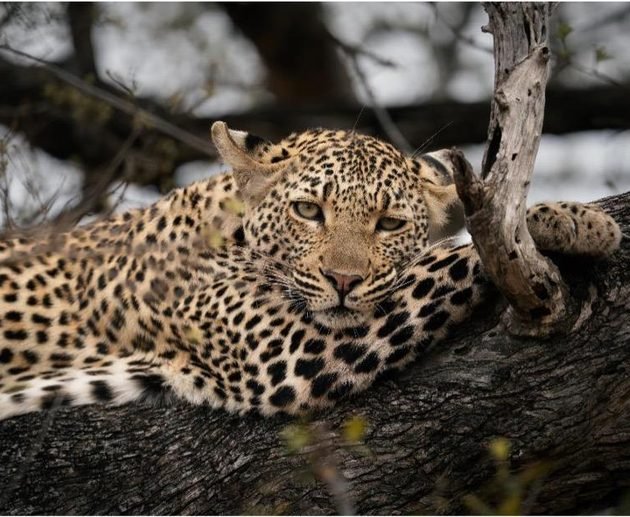 Best 3-Day Budget Camping Safari in Tanzania 2027/2028 – Tarangire, Ngorongoro Crater & Lake Manyara